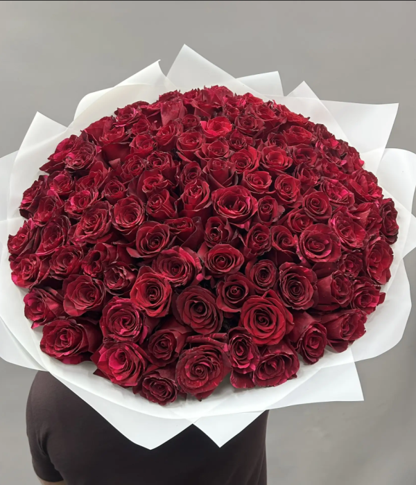 Букет  из 101 роз Эквадор #4622