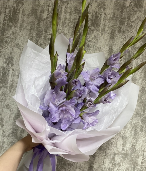 Букет из 7 гладиолусов #4663