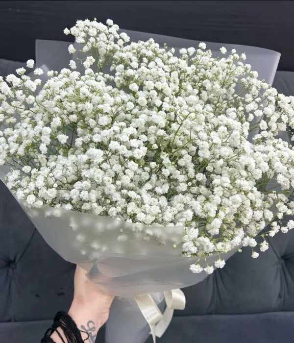 Букет из 11 гипсофил #4693