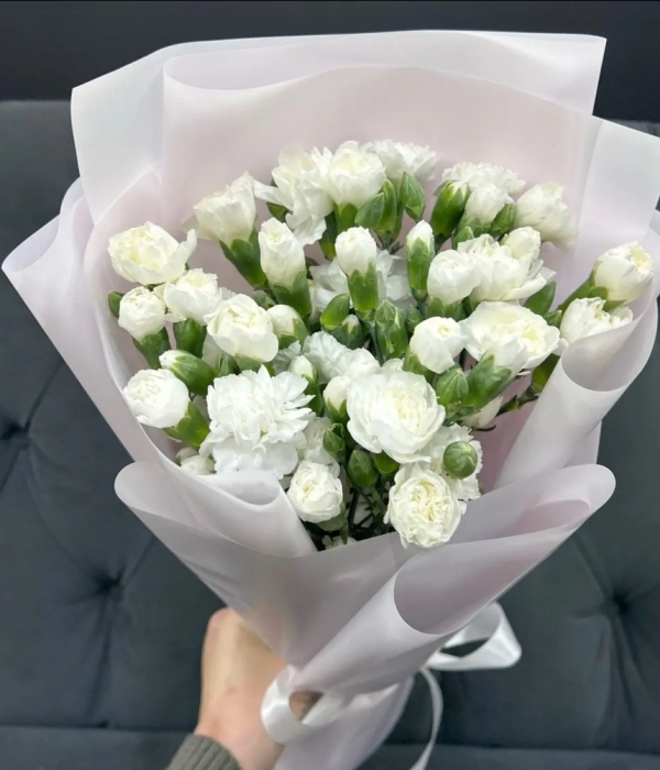Букет из 15 кустов гвоздик #4678