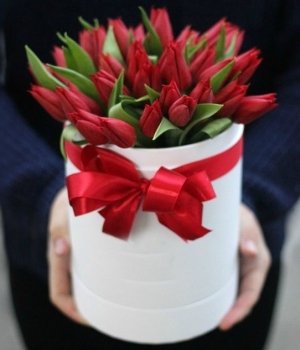 Красные тюльпаны в белой шляпной коробке (25шт) #1037