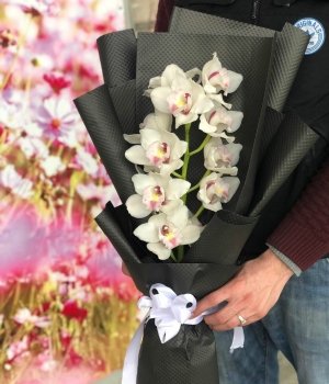 Ветка  белой орхидеи #1424