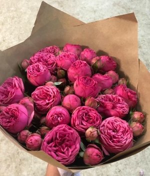 Букет из розовых пионовидных роз Пинк Пиано (19 шт) #1332