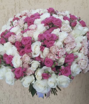 Букет из 101 белой и розовой кустовой розы #818