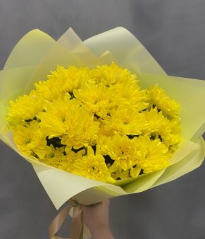 Букет из желтых  хризантем (5шт) #457