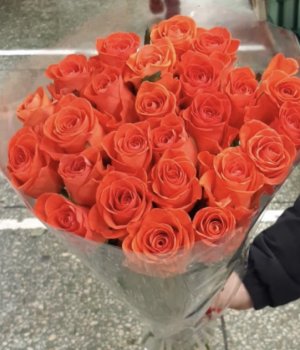 Букет из 25 оранжевых роз (50 см ) #2415
