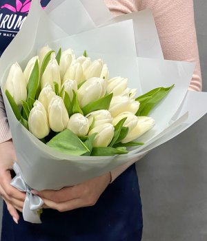 Букет из белых тюльпанов (25 шт ) #2402