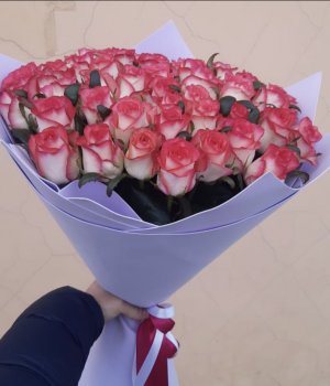 Букет из 51 розы Джумилия (50 см ) #2632
