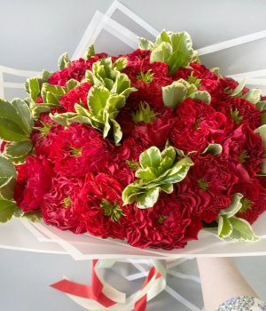 Букет из 35 пионовидных роз Ред Ай #2714