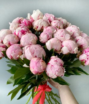Букет из 29 розовых  пионов #410
