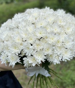 Букет из белых кустовых хризантем (25 шт ) #2886