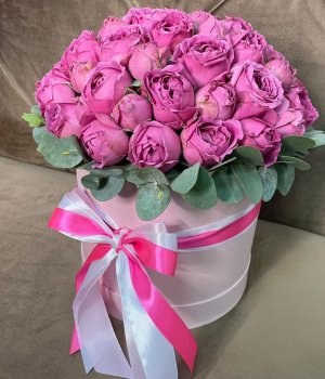 Пионовидные розы Мисти Баблз в розовой шляпной коробке (19 шт ) #1939