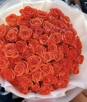 Букет из 51 оранжевой розы (70 см ) #3091