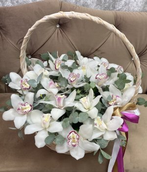 Корзина с белыми орхидеями ( 19 шт) #3127