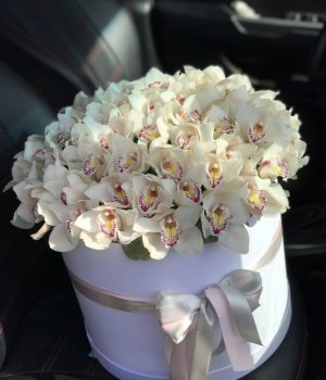 Коробка с белыми орхидеями (39 шт ) #3435