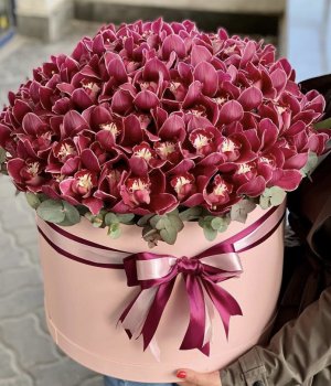 Коробка с розовыми орхидеями (51 шт) #3436