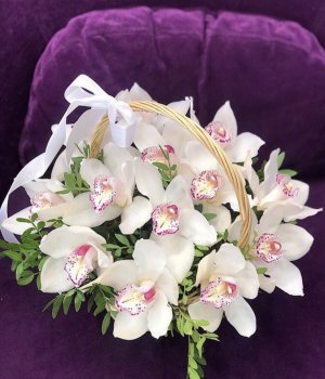 Корзина с 13 белыми орхидеями #3437