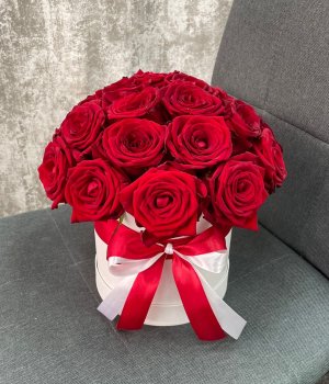 Красные розы в белой шляпной коробке ( 25 шт ) #1793