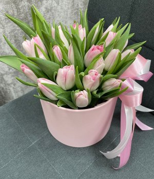 Бело-розовые  тюльпаны в  шляпной коробке (25шт) #1025