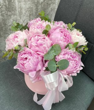 9 розовых пионов с эвкалиптом в розовой коробке #3688