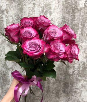 Букет из 9 Эквадорских роз Дип Перпл под ленту (60 см) #3971