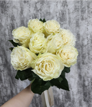 Букет из 9 Эквадорских роз Мондиаль под ленту  (70 см) #4025