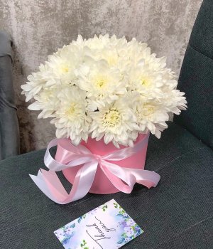 Белые хризантемы в розовой шляпной коробке #1394