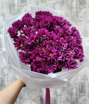 Букет из  фиолетовых хризантем (5 шт) #3890