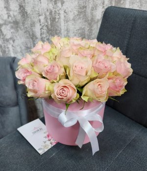 19 бело-розовых Кенийских роз в розовой коробке #2639