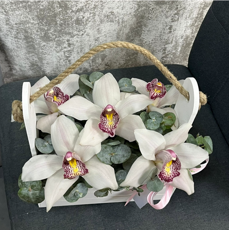 Стеллаж для орхидей (55 фото)