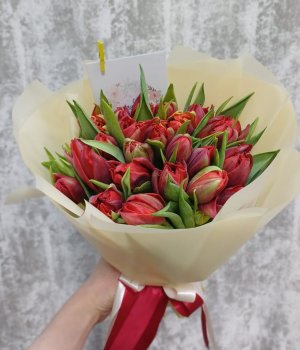 Букет из красных  пионовидных тюльпанов  в бежевой пленке (25 шт) #862