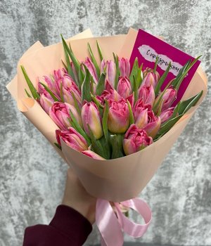 Букет из двухцветных , пионовидных тюльпанов  ( 25 шт) #684