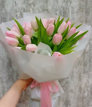 Букет из бело-розовых  тюльпанов   в воздушной  упаковке 25 шт) #67