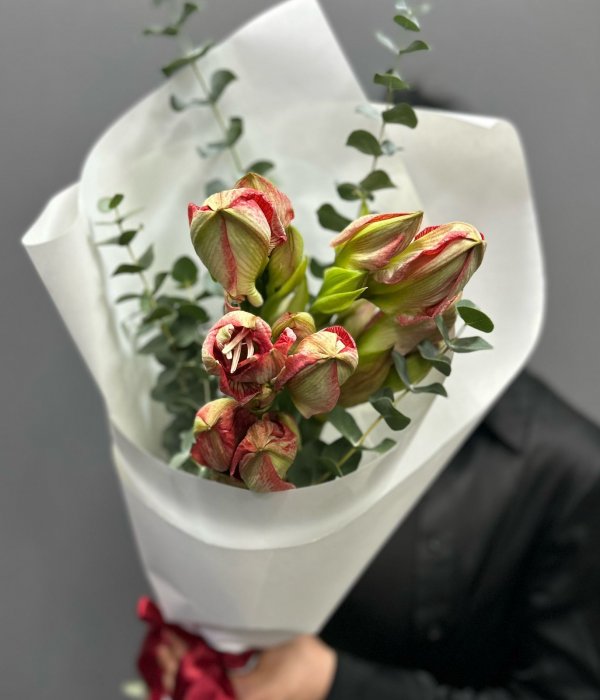 Букет из 5 двухцветных амариллисов с эвкалиптом #4435