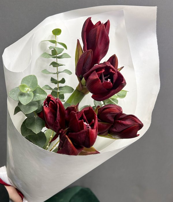 Букет из 5 бордовых амариллисов в белом крафте #4286