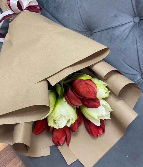 Букет из 5 Амариллисов в крафте #4474