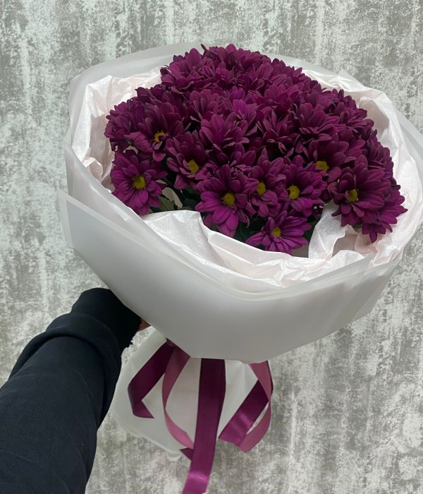 Букет из 5 фиолетовых хризантем #2354