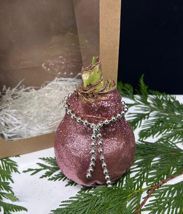 Луковица Амариллиса в воске ( Розовые блёстки) #4535