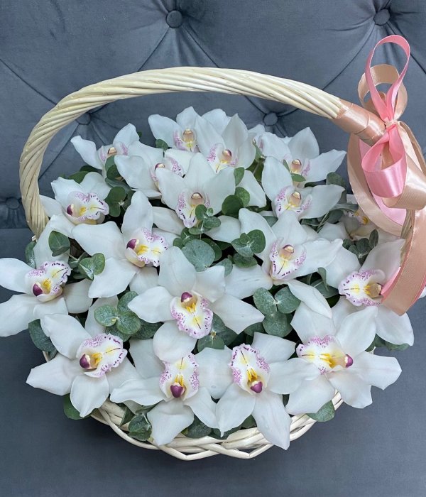 Корзина с 15 белыми орхидеями и эвкалиптом #3437