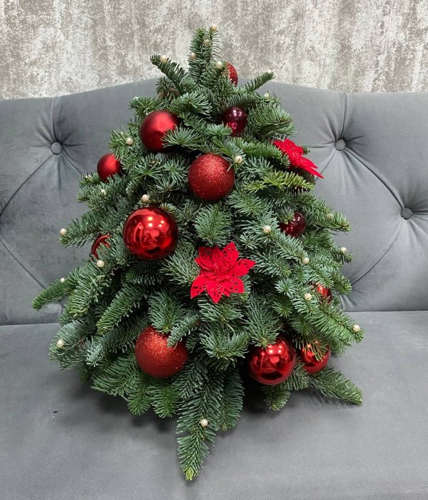 Новогодняя композиция с нобилисом и елочными игрушками #4542