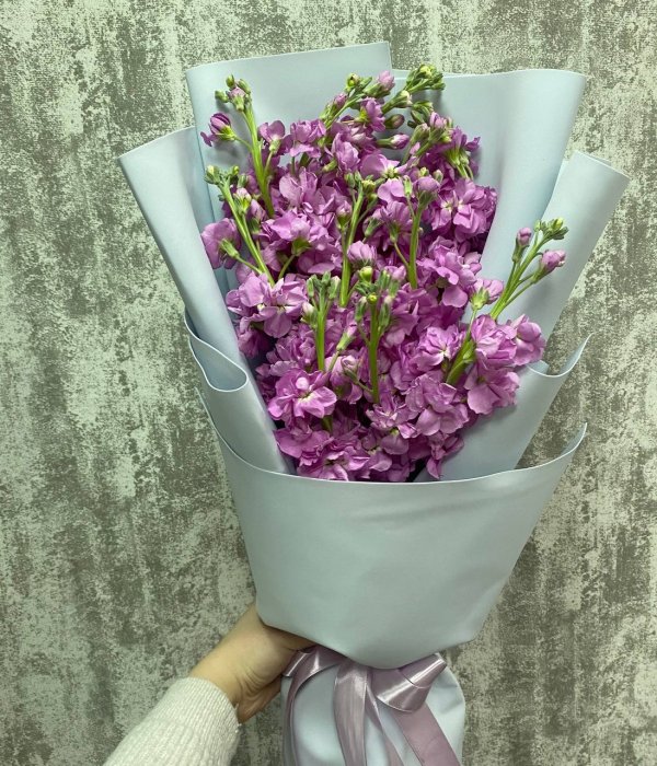 Букет из 11 Маттиолы #4509