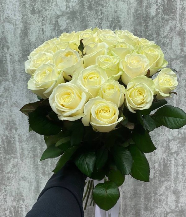 Букет из 19 белых роз под ленту (60 см) #4552