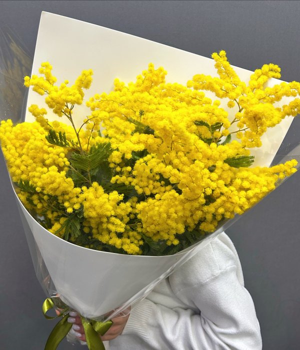 Букет Итальянской мимозы (400 гр) #4555