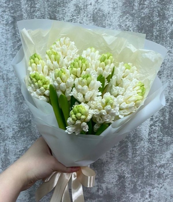 Букет из 15 белых гиацинтов #4563