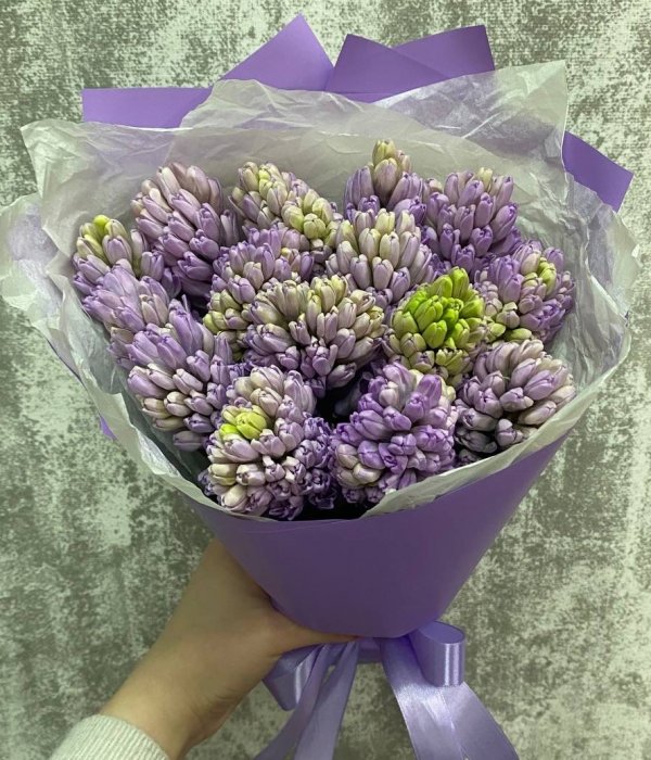 Букет из 15 сиреневых гиацинтов #4564
