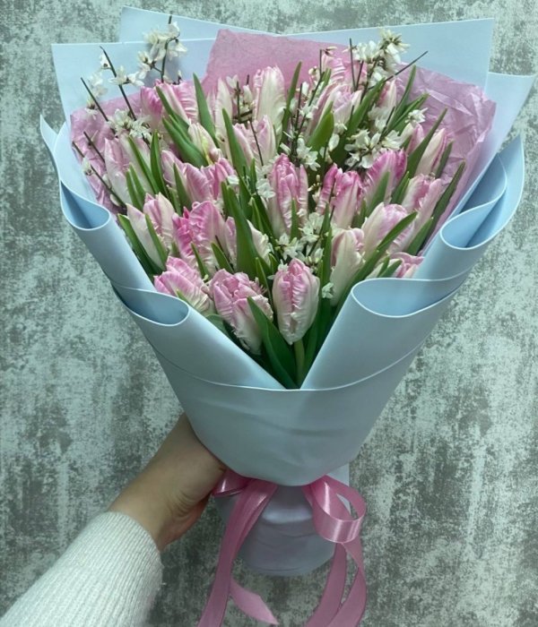 Букет из 25 тюльпанов «попугай» с генистрой #4567