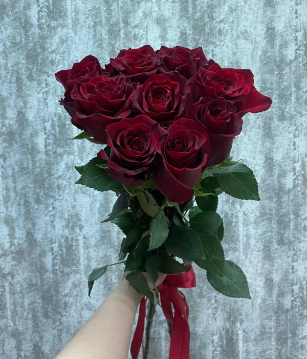 Букет из 9 красных Эквадорских роз Эксплорер (80 см) #4584