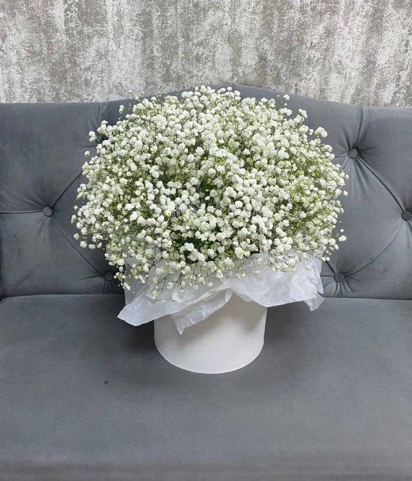 Композиция 